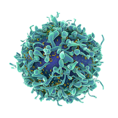 A digital illustration of a virus particle